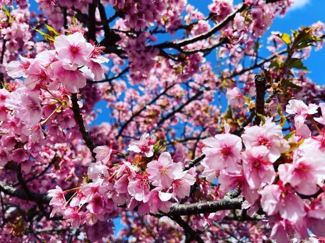 第３回総会・情報交換会を開催します